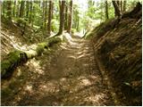 Globasnica / Globasnitz - Veška planina / Wackendorfer Alm